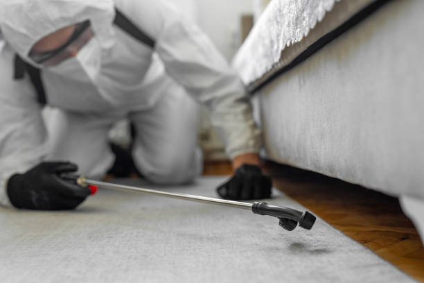 Professional Emergency Pest Control technician working in Horseheads North, NY