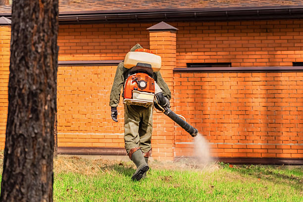 Trusted Rodent Control service in Horseheads North, NY - Nex Pest Control